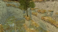 ds_autumn