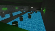 dwh1s_hb_dolphin