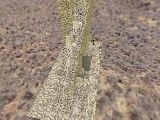 extremebeachrace_ez