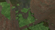 kzsca_highgrass